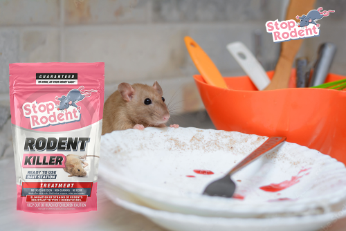 100% účinné roztoky proti potkanom a myšiam