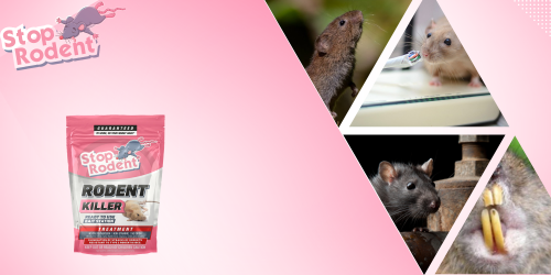 Jed na potkany : Efektívne a bezpečné použitie v priehradách a vodných elektrárňach