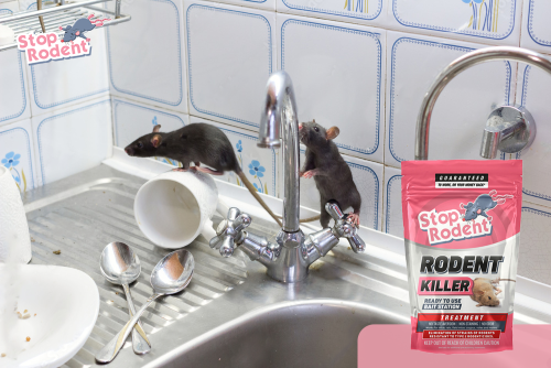 Ako zabezpečiť bezpečné používanie jedu na potkany, aby ste účinne chránili svoj domov?